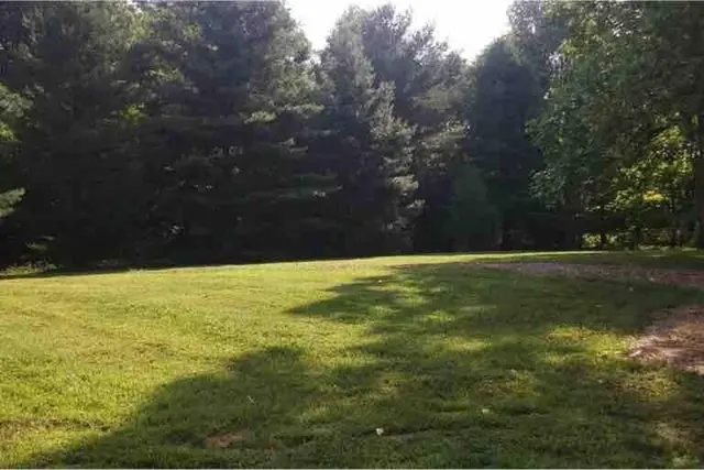 Large field