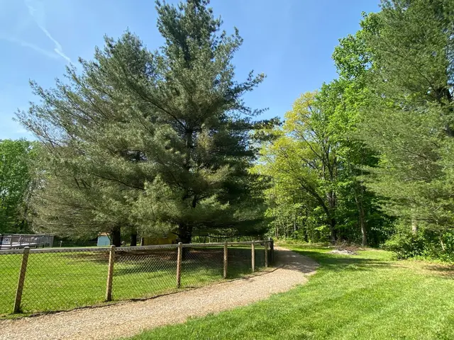 Walking trail into the forest